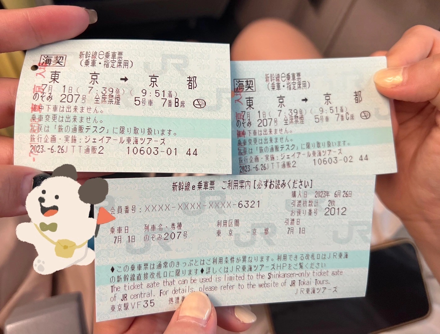 Japan Shinkansen Train Guide