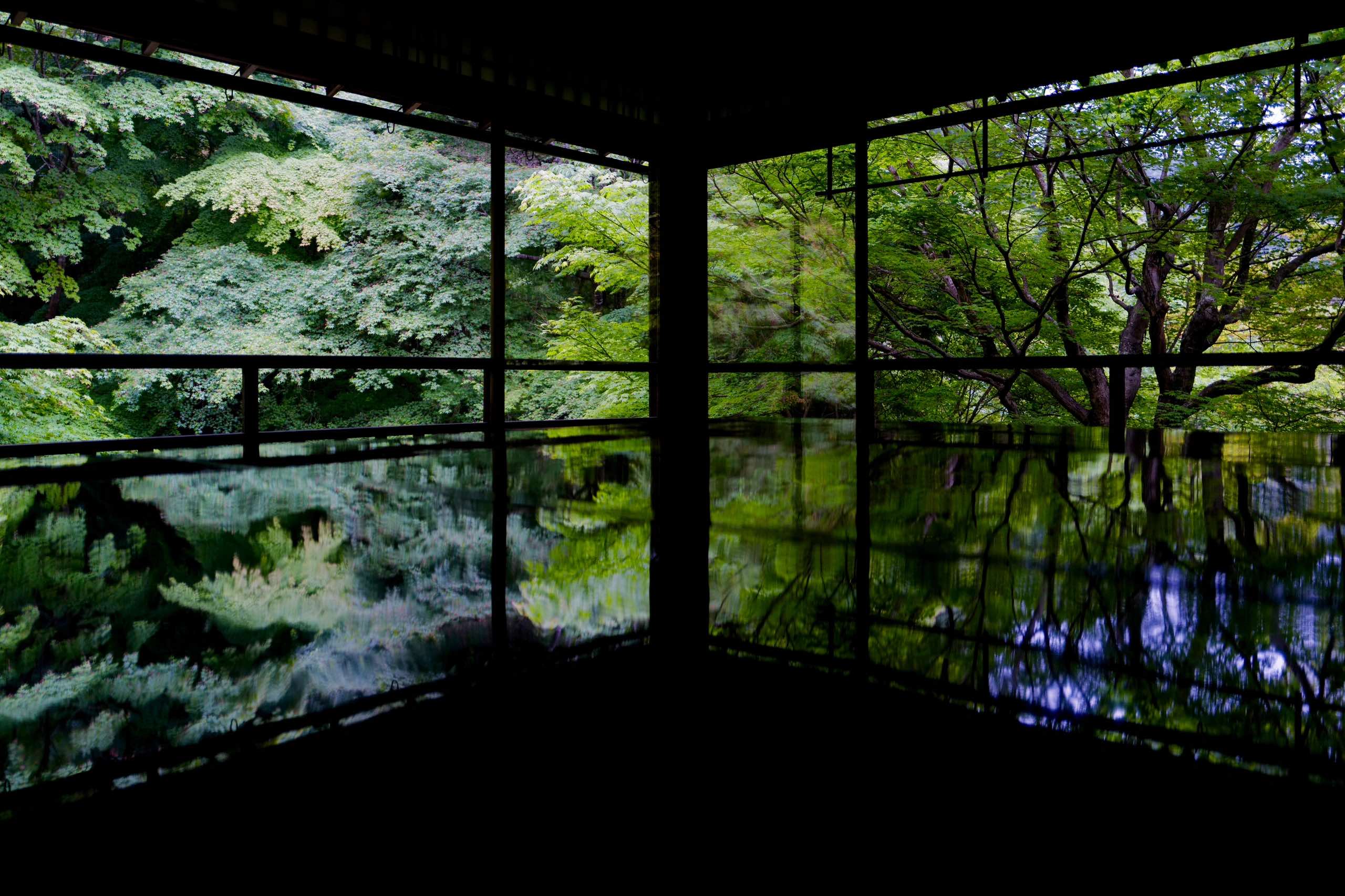 One-Day Healing Journey in Kyoto - Exploring Sanzen-in, Rurikoin, and Cat Temple